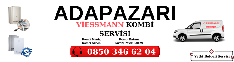 Adapazarı Viessmann Servisi