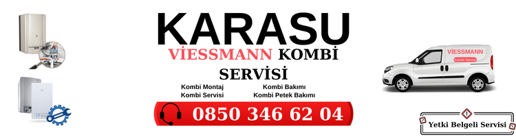 Karasu Viessmann Servisi