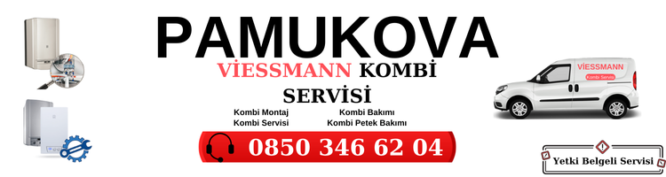 Pamukova Viessmann Servisi