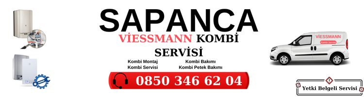 Sapanca Viessmann Servisi